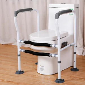 Toilet Safety Rail